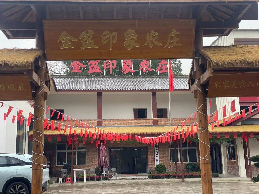 简阳乡村振兴“幸福味”电子pg一口农家菜品出(图5)