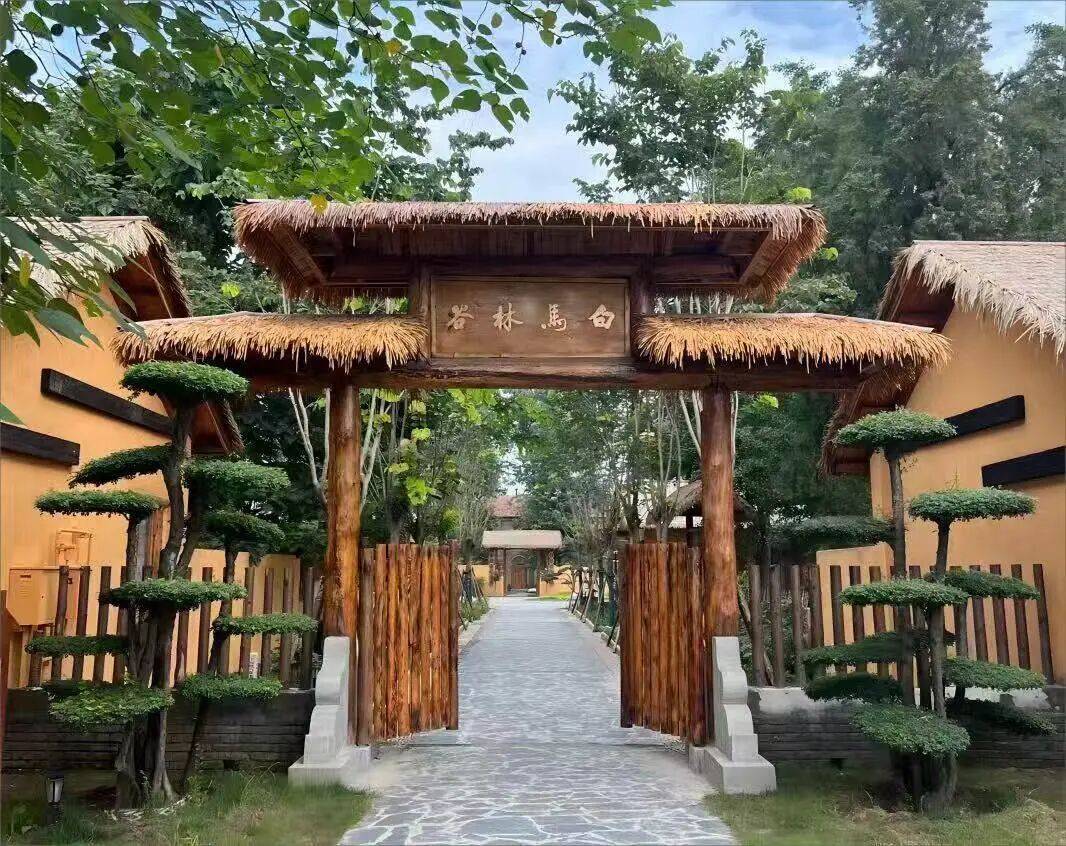 行：廿三载帮扶路 绘就乡村振兴新画卷pg模拟器试玩《金融时报》 民生银(图1)